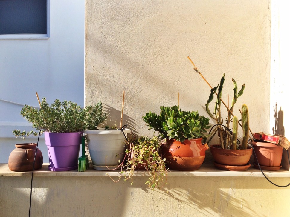 Case in point: it even made my mum's pots and brooms look awesome