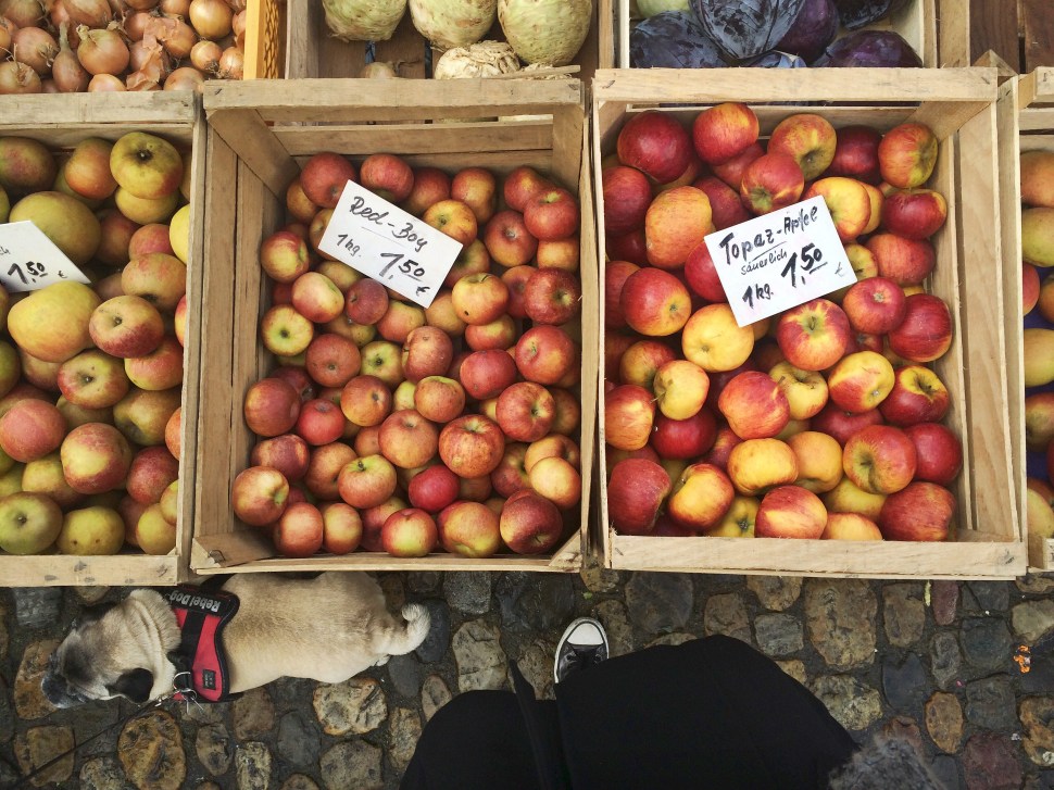 That pug sneakily entered itself in shot but I love it nontheless