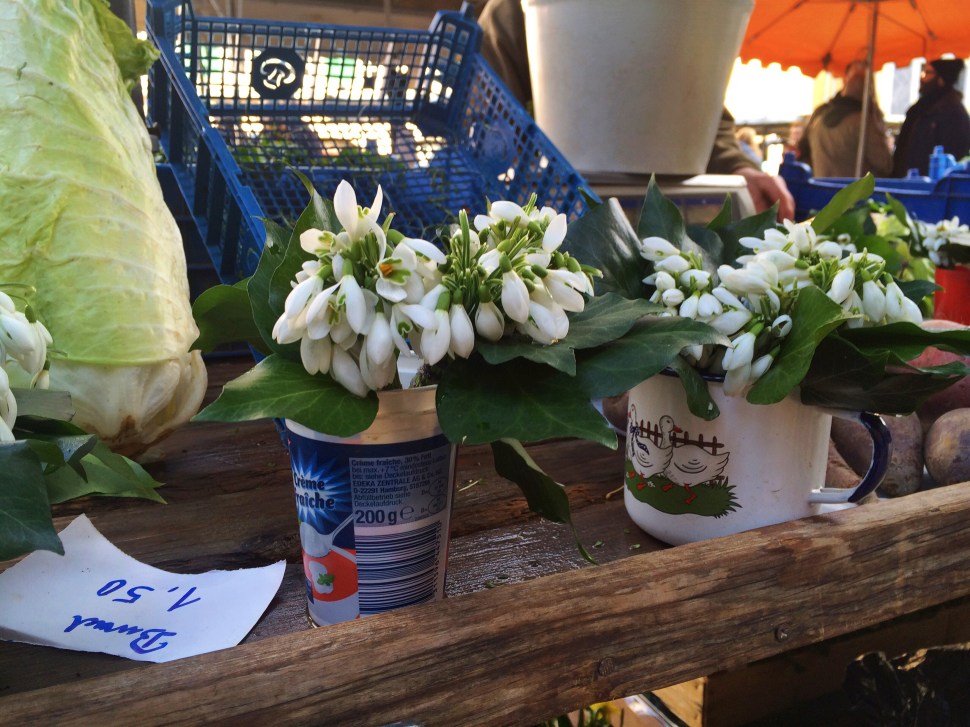 So beautiful: handpicked Schneeglöckchen